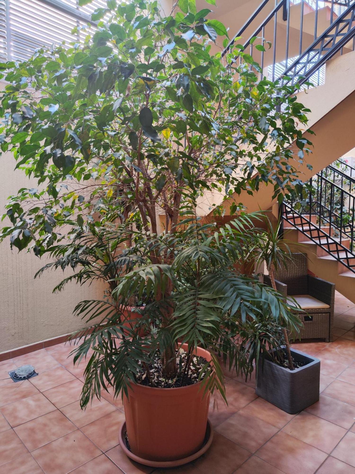 Malaga Experience Appartement Buitenkant foto
