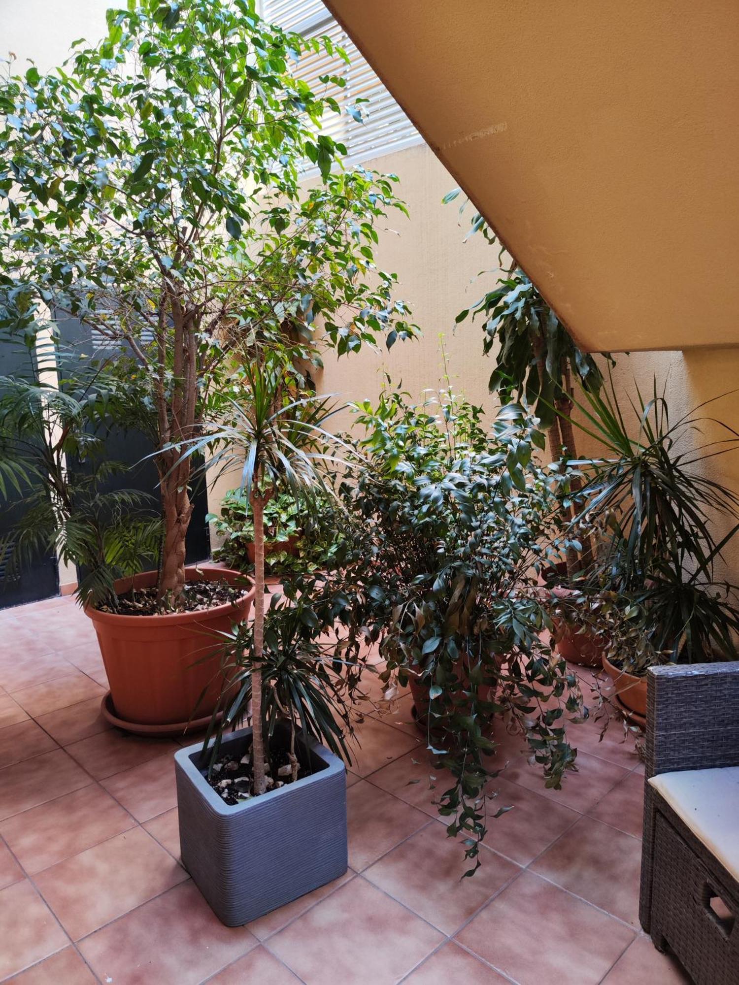Malaga Experience Appartement Buitenkant foto